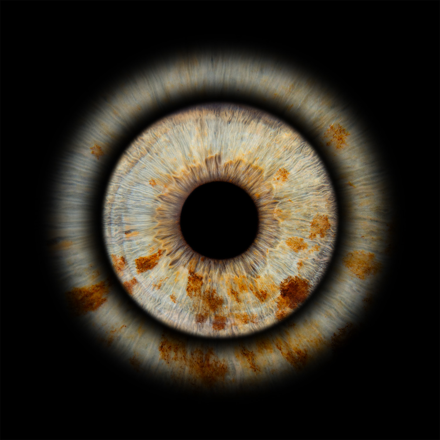 OKO_UNO_22032025